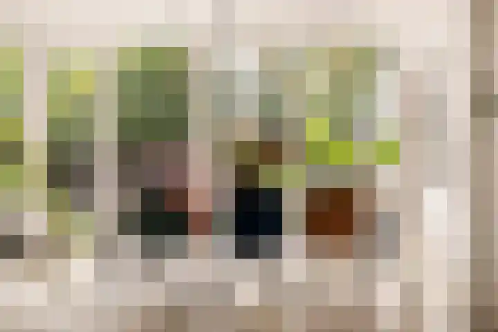 Neerkanne 30 Amsterdam thumbnail 8