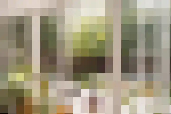 Neerkanne 30 Amsterdam thumbnail 9