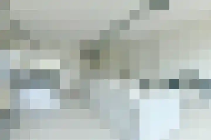 Neerkanne 44 Amsterdam thumbnail 10
