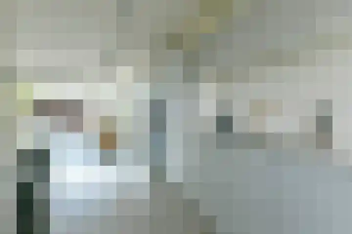 Neerkanne 44 Amsterdam thumbnail 14