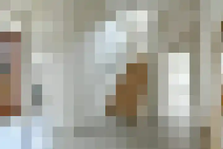 Neerkanne 44 Amsterdam thumbnail 15