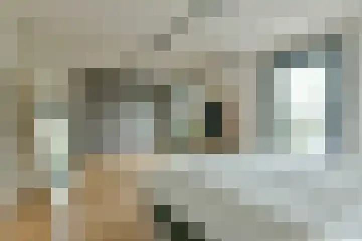 Neerkanne 44 Amsterdam thumbnail 21
