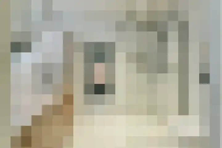 Neerkanne 44 Amsterdam thumbnail 22