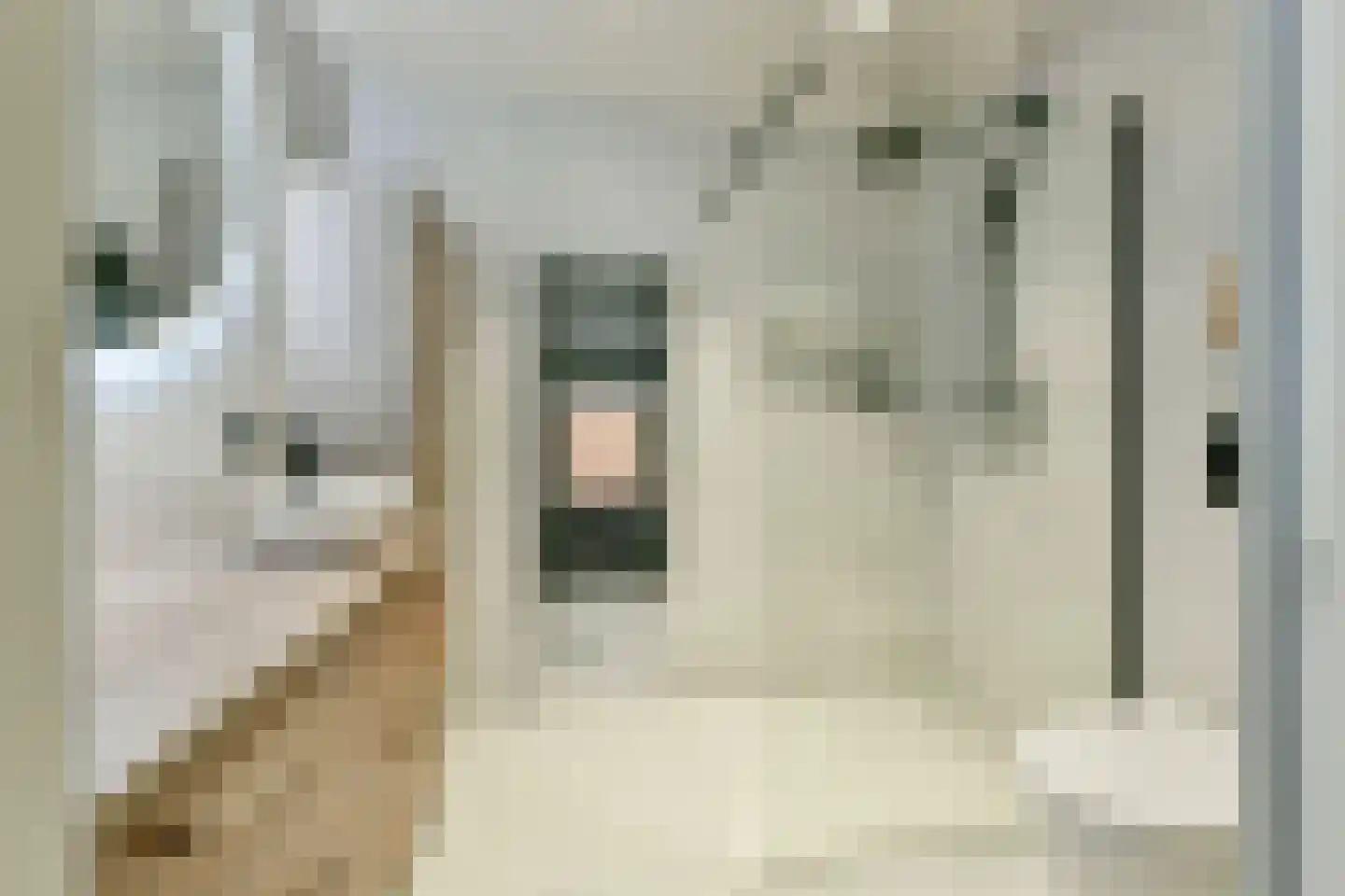 Neerkanne 44 Amsterdam thumbnail 22