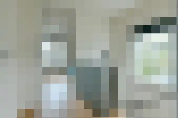 Neerkanne 44 Amsterdam thumbnail 23