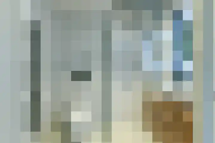 Neerkanne 44 Amsterdam thumbnail 27
