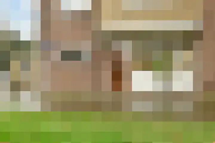 Neerkanne 44 Amsterdam thumbnail 30