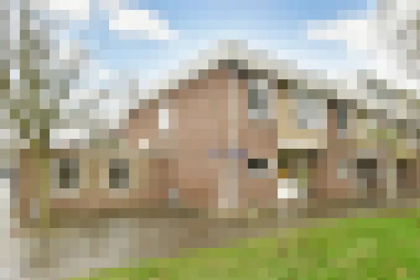 Neerkanne 44 Amsterdam thumbnail 5