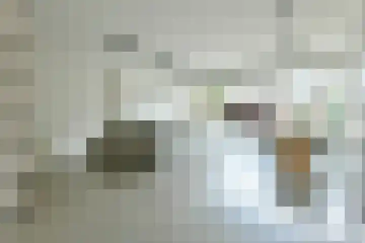 Neerkanne 44 Amsterdam thumbnail 6