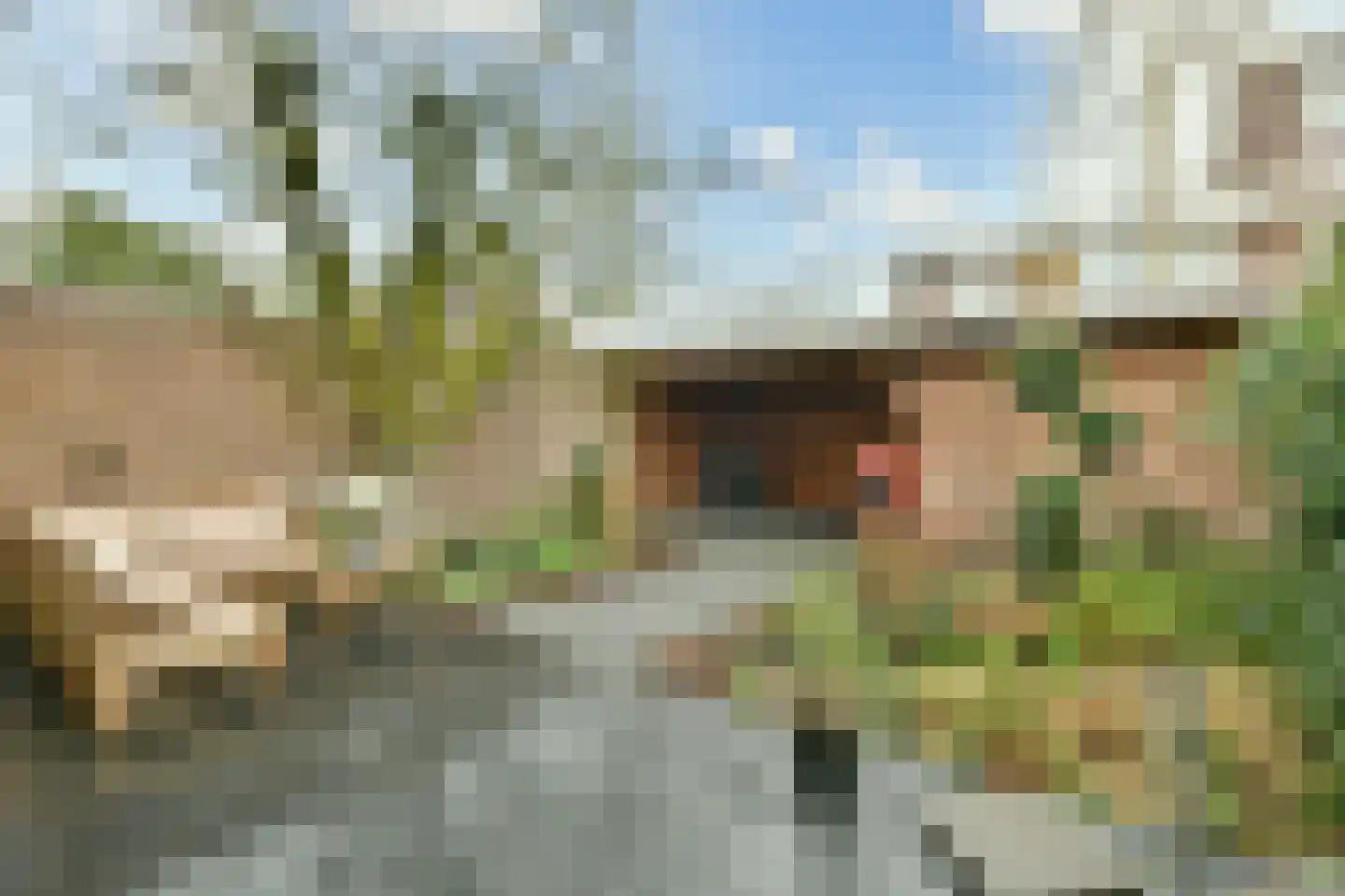 Neerkanne 44 Amsterdam thumbnail 7