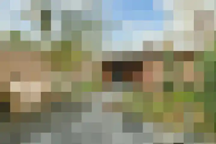 Neerkanne 44 Amsterdam thumbnail 7