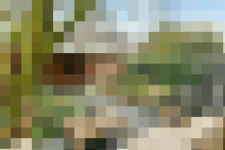 Neerkanne 44 Amsterdam thumbnail 8