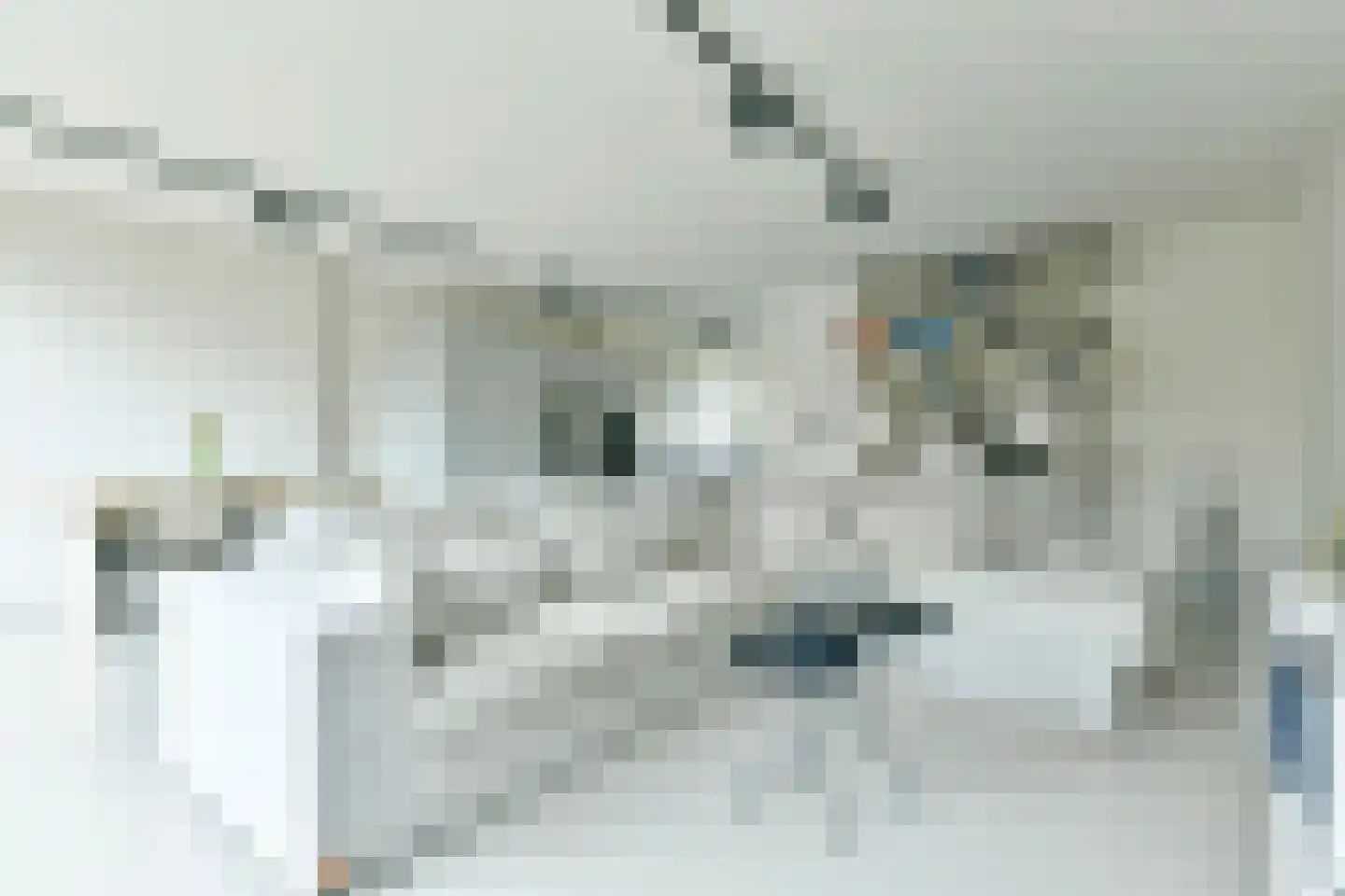 Neerkanne 44 Amsterdam thumbnail 9