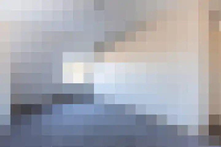 Neerland 14 Bergen op Zoom thumbnail 13