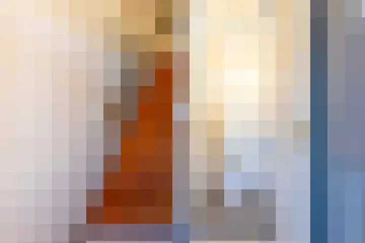 Neerland 14 Bergen op Zoom thumbnail 5