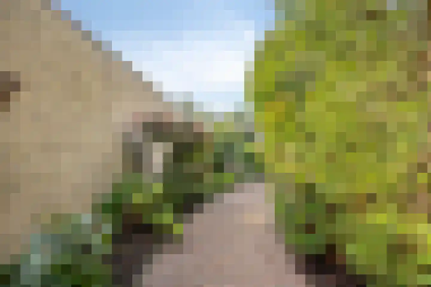 Neerland 6 Riel thumbnail 11