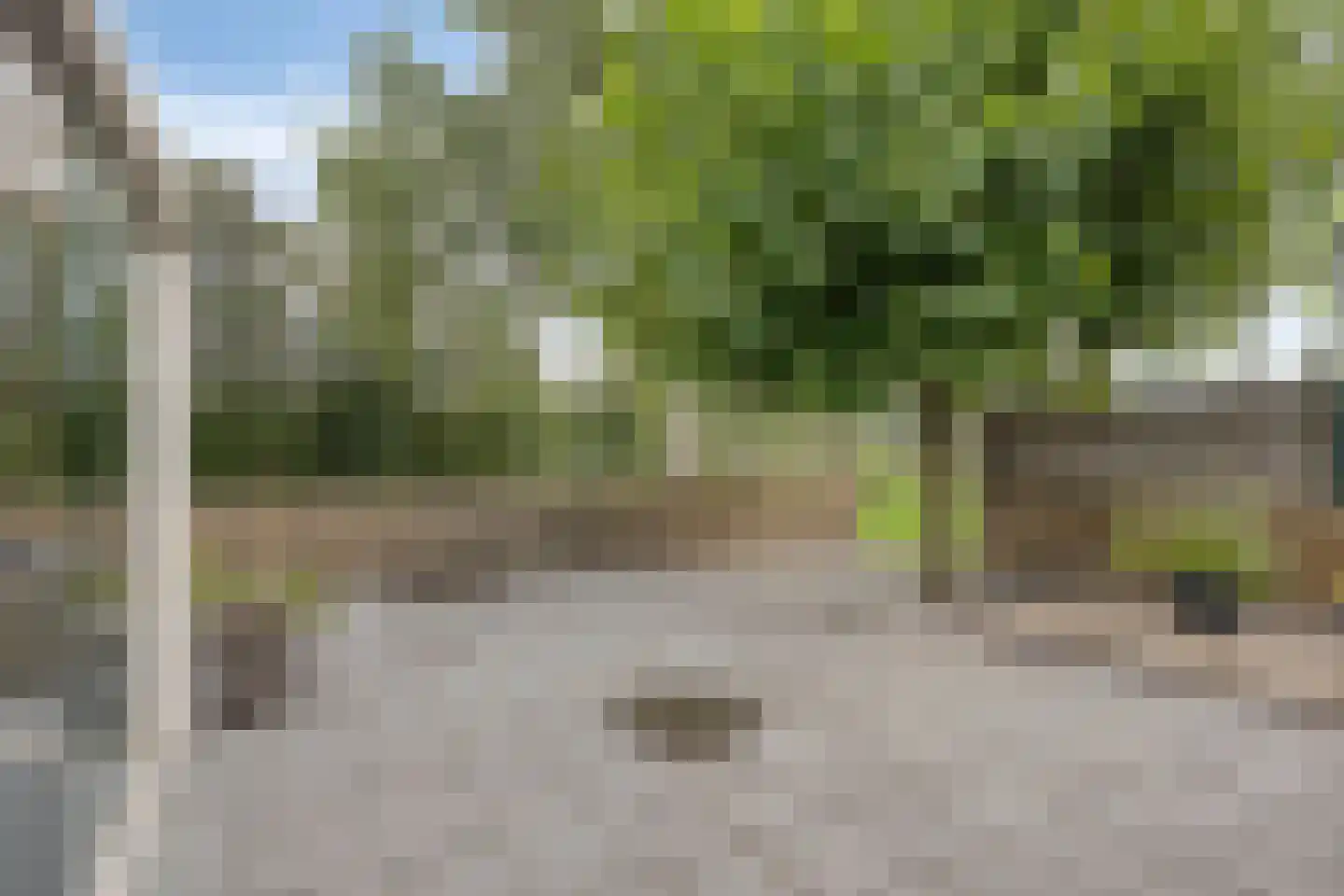 Neerland 6 Riel thumbnail 27