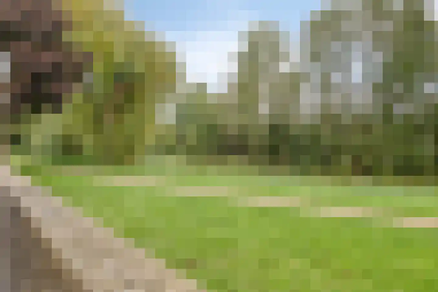 Neerland 6 Riel thumbnail 30