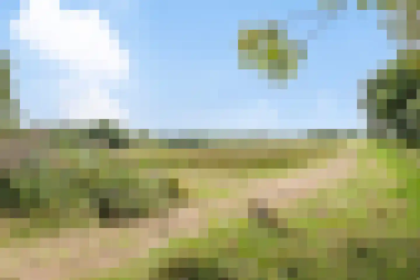 Neerland 6 Riel thumbnail 32