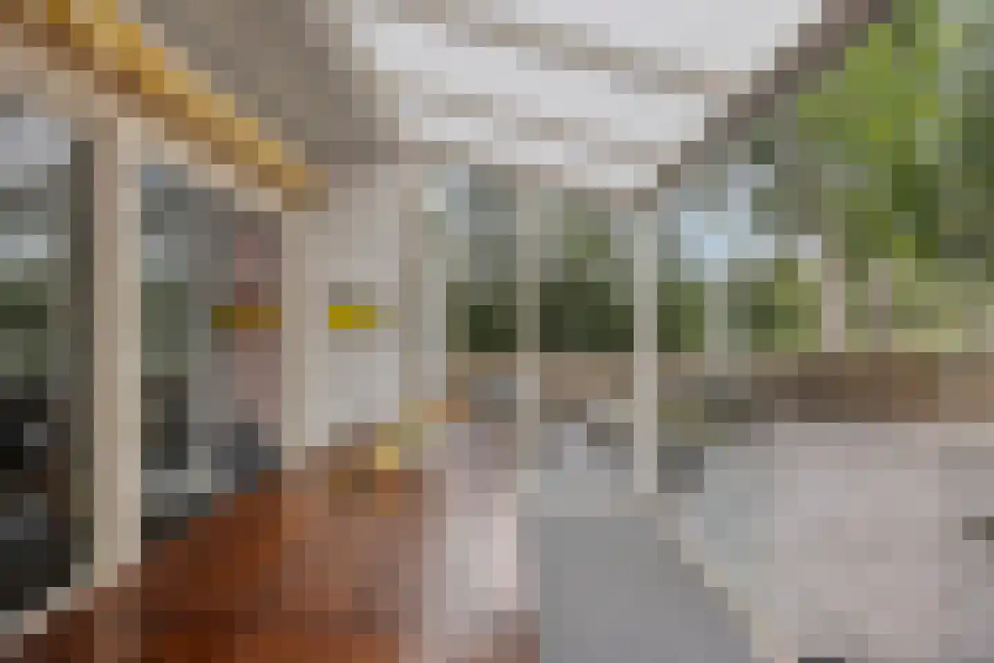 Neerland 6 Riel thumbnail 6