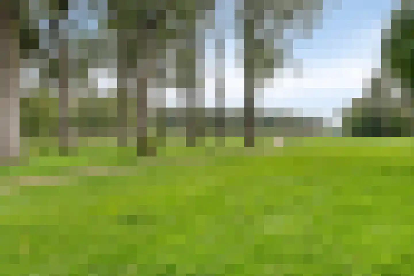 Neerland 6 Riel thumbnail 9