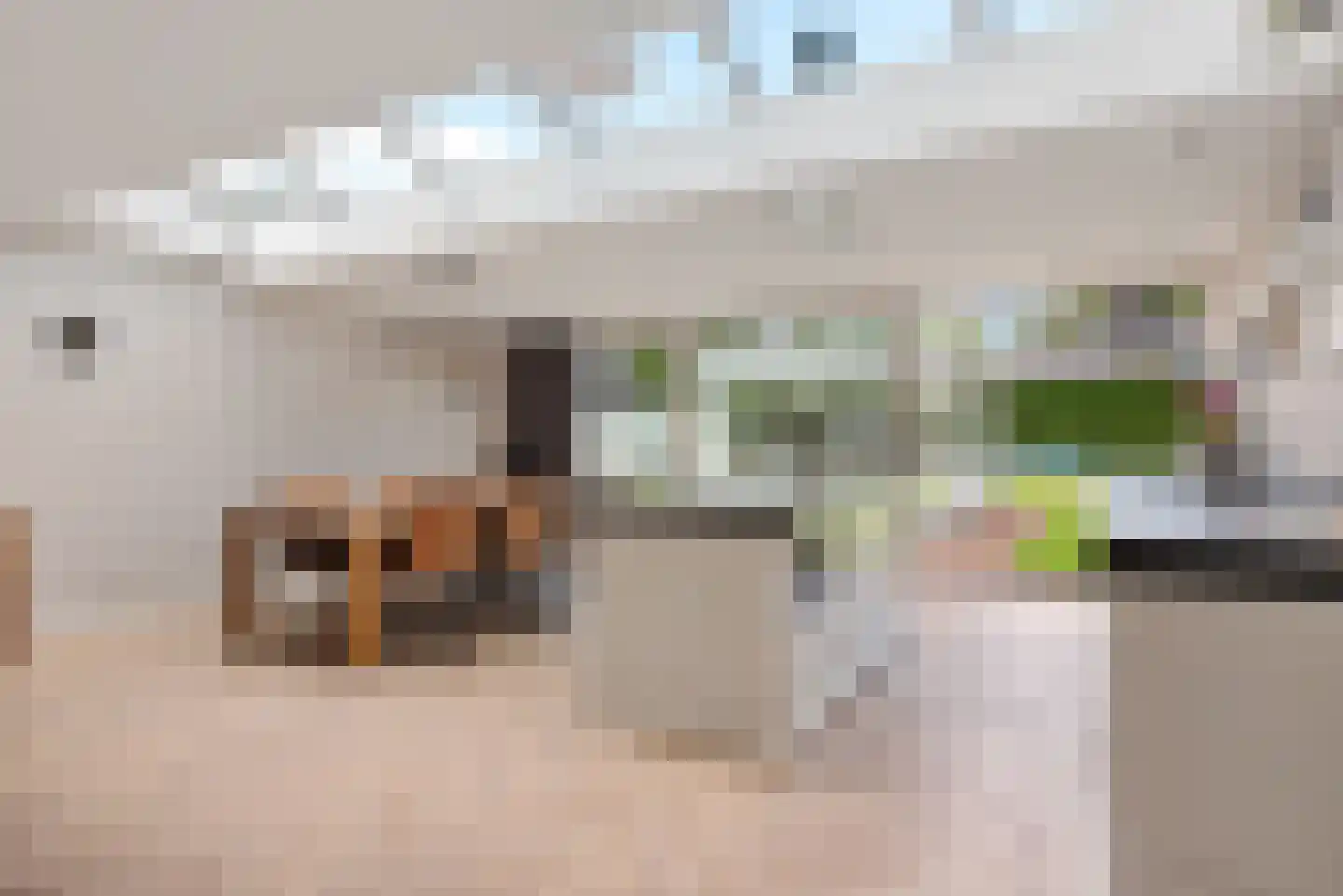 Neerlandstraat 26 Schijndel thumbnail 8