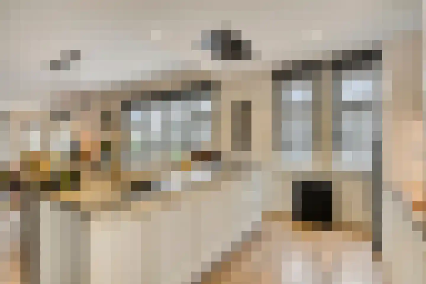 Neerlandstuinstraat 50 Arnhem thumbnail 15