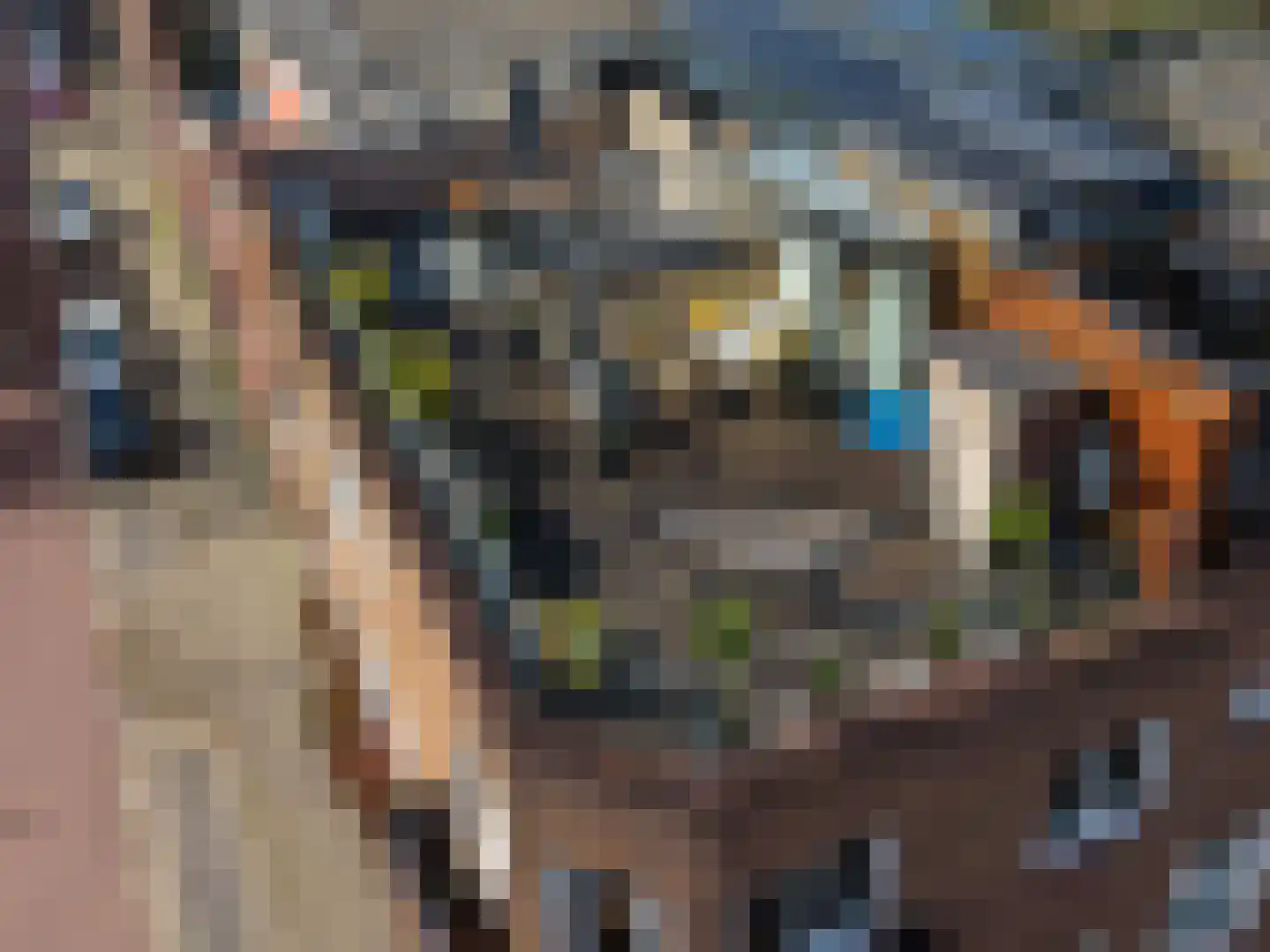 Neerlandstuinstraat 50 Arnhem thumbnail 35