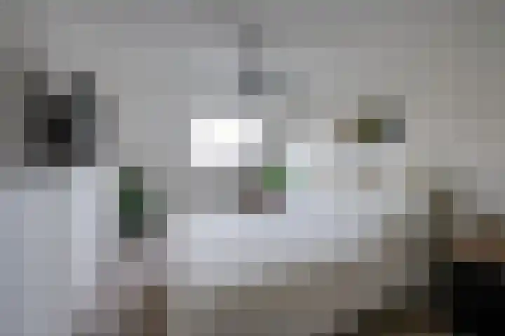 Neerpeltstraat 44 Breda thumbnail 21