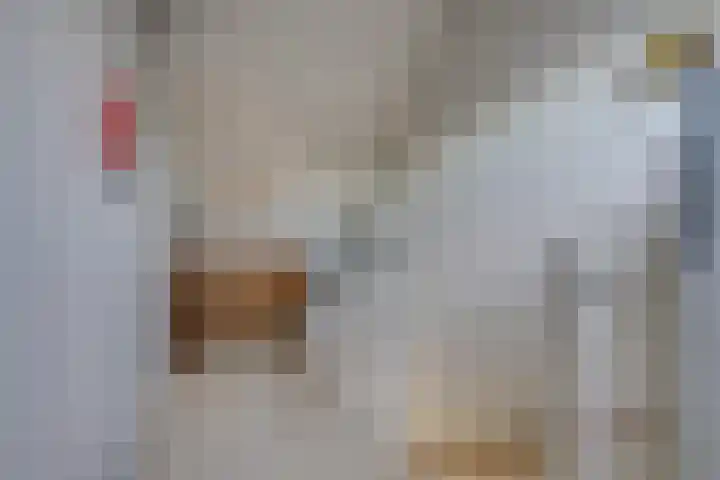 Neerpeltstraat 44 Breda thumbnail 30