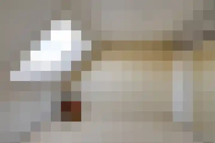 Neerpeltstraat 44 Breda thumbnail 31