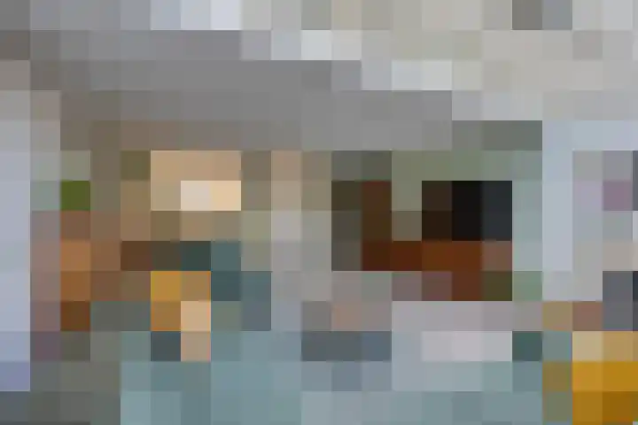 Neerpeltstraat 44 Breda thumbnail 4