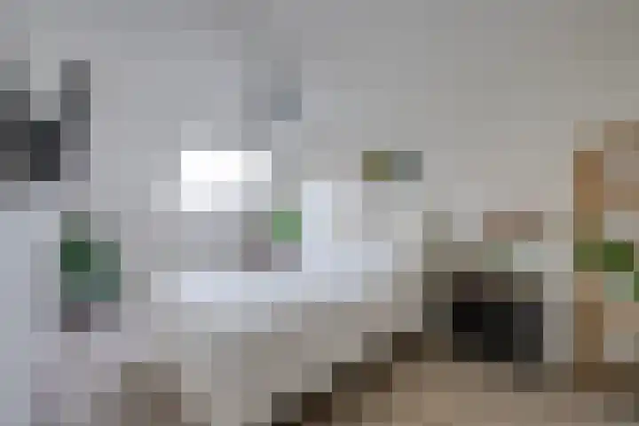 Neerpeltstraat 44 Breda thumbnail 5