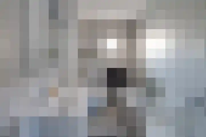 Neerpeltstraat 44 Breda thumbnail 6