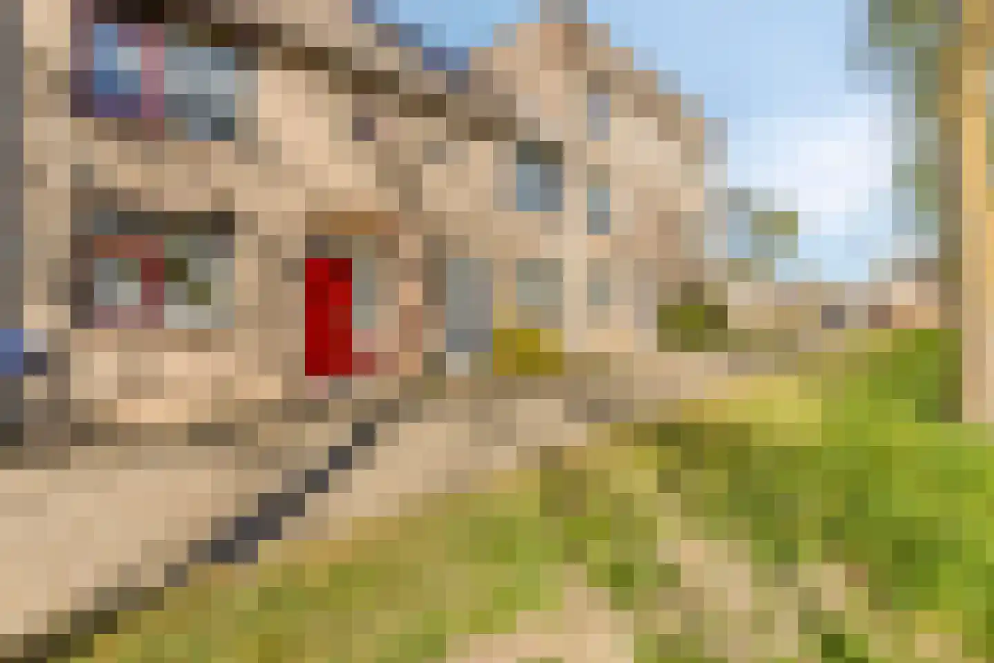 Neerpeltstraat 8 Breda thumbnail 32