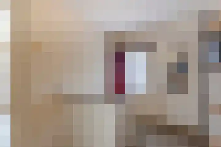 Neerpolderseweg 14 Giessenburg thumbnail 22