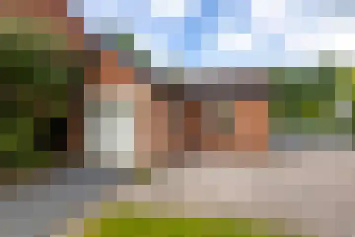 Neerpolderseweg 14 Giessenburg thumbnail 26