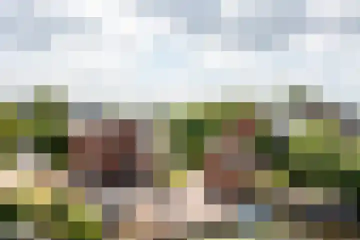 Neerpolderseweg 14 Giessenburg thumbnail 30