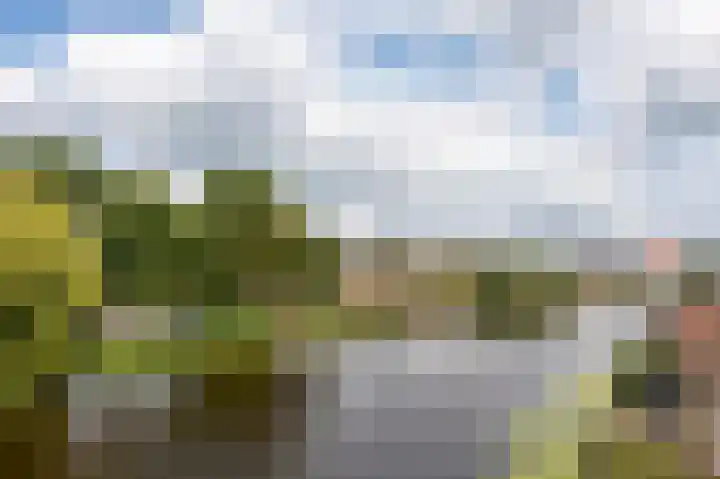 Neerpolderseweg 14 Giessenburg thumbnail 31
