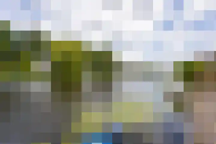 Neerpolderseweg 14 Giessenburg thumbnail 32