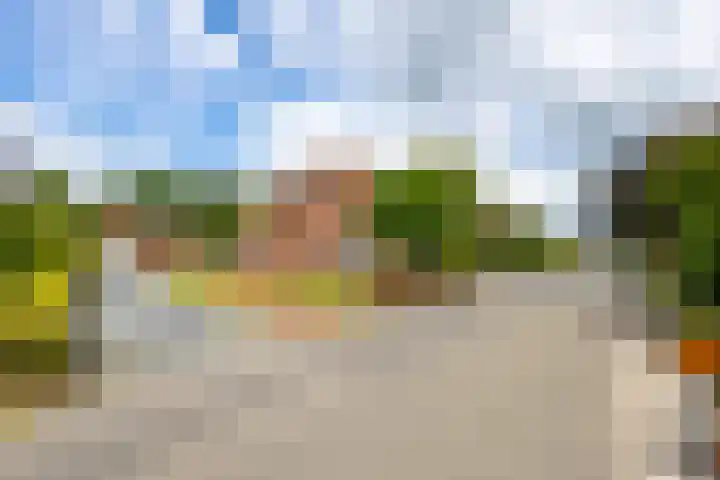 Neerpolderseweg 14 Giessenburg thumbnail 33