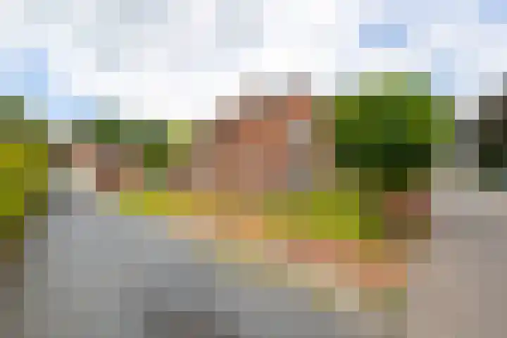 Neerpolderseweg 14 Giessenburg thumbnail 34