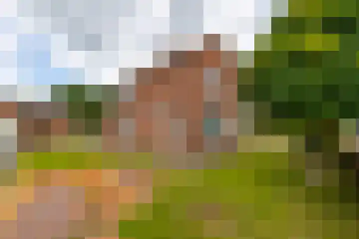 Neerpolderseweg 14 Giessenburg thumbnail 35