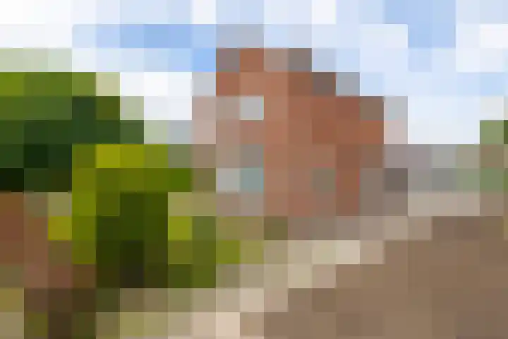 Neerpolderseweg 14 Giessenburg thumbnail 36