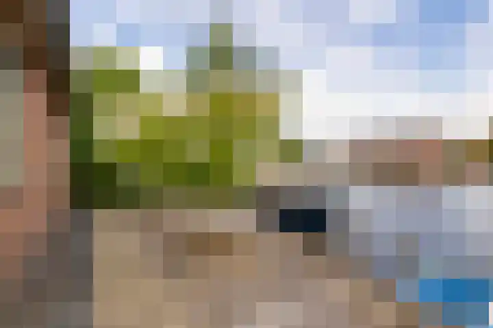 Neerpolderseweg 14 Giessenburg thumbnail 38
