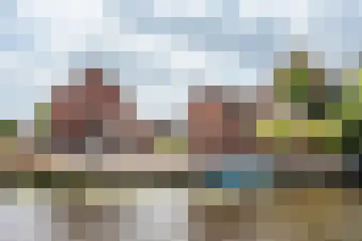 Neerpolderseweg 14 Giessenburg thumbnail 4