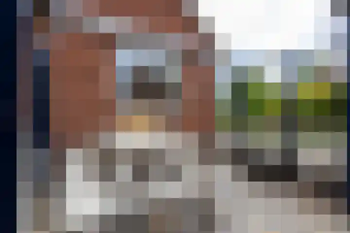 Neerpolderseweg 14 Giessenburg thumbnail 41