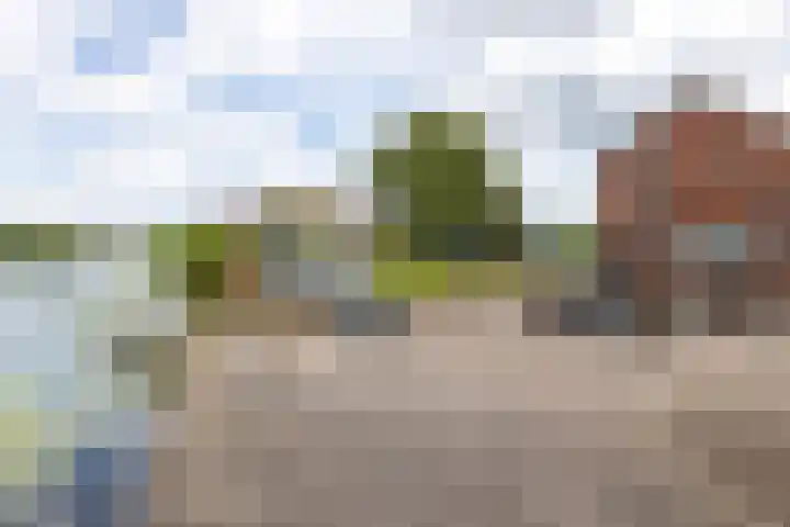 Neerpolderseweg 14 Giessenburg thumbnail 43