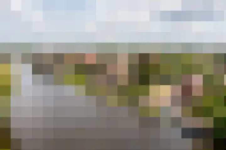Neerpolderseweg 14 Giessenburg thumbnail 6