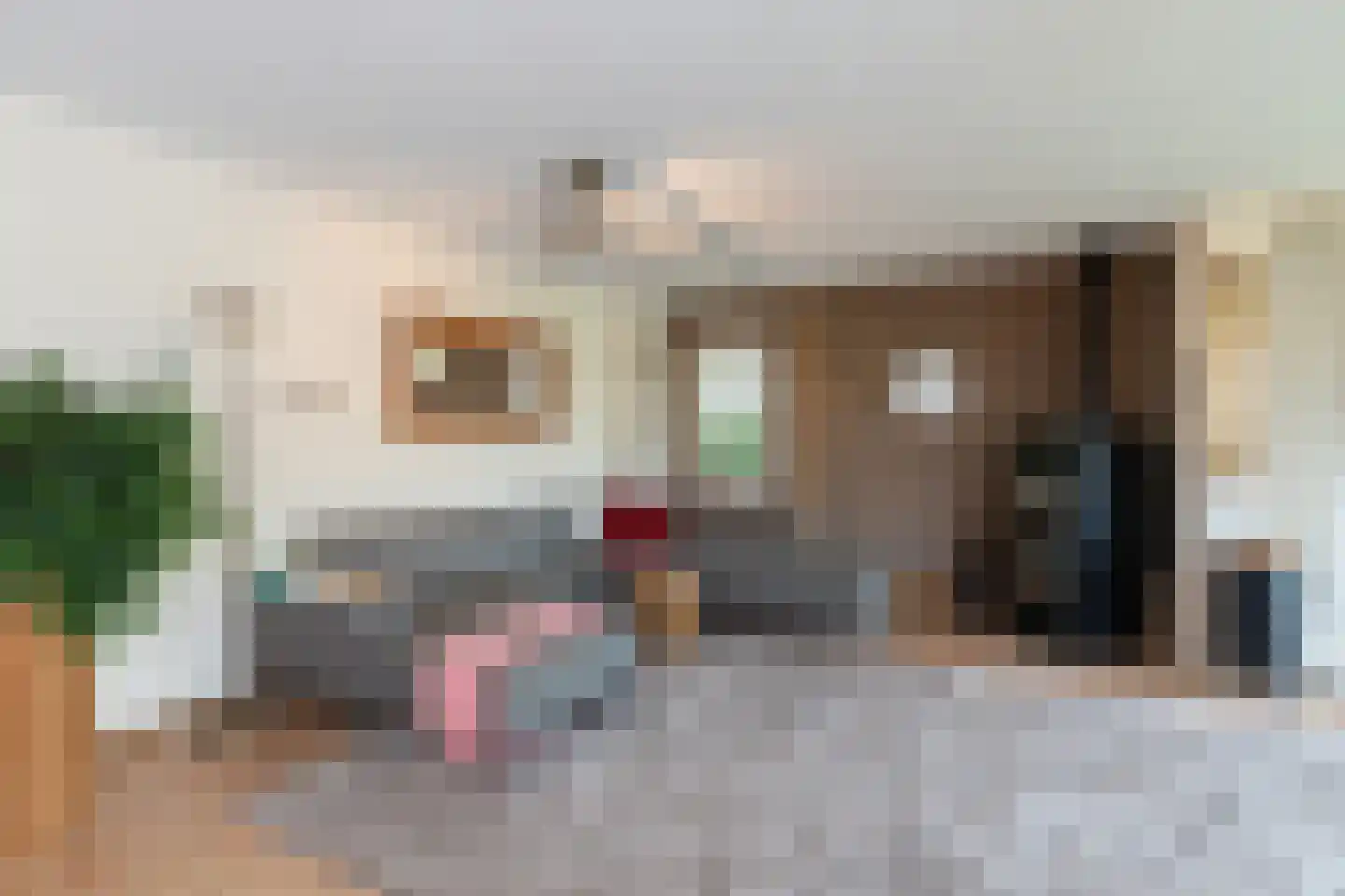 Neerpolderseweg 30 Giessenburg thumbnail 9